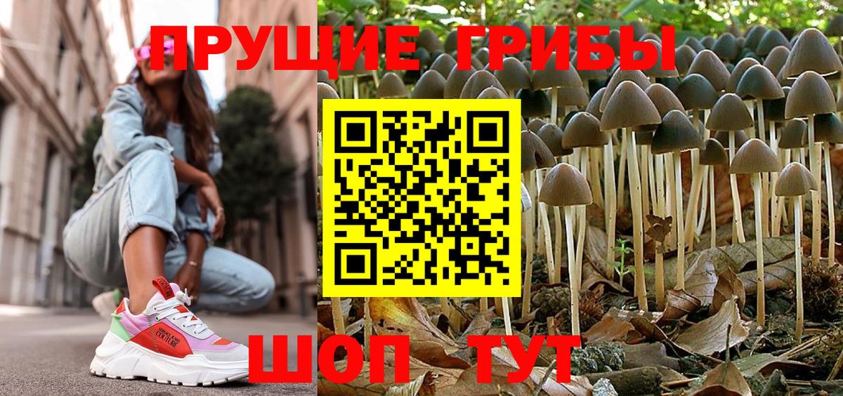 Галлюциногенные грибы GOLDEN TEACHER Будённовск