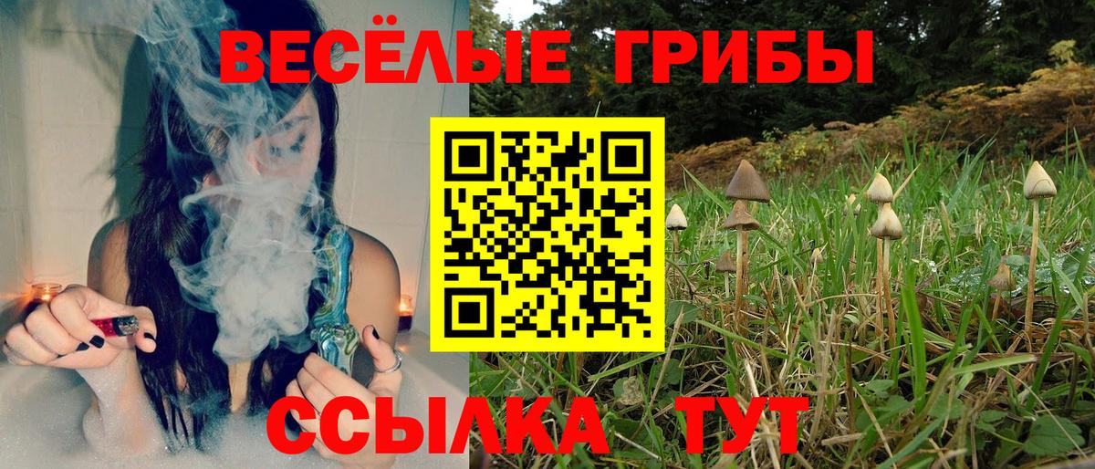 Псилоцибиновые грибы мухоморы  Вход с VPN  Будённовск 